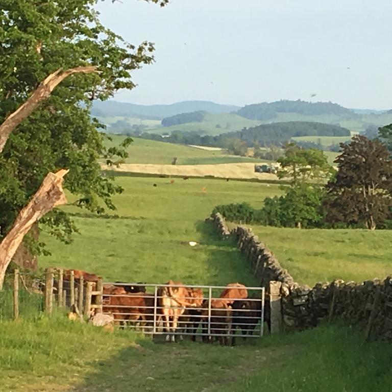 Chipperkyle Country House B&B Kirkpatrick Durham Exteriör bild
