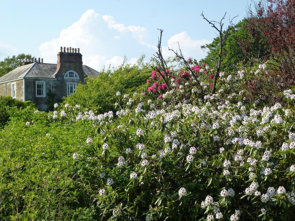 Chipperkyle Country House B&B Kirkpatrick Durham Exteriör bild